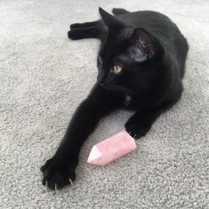 Meet your Posher, Julia